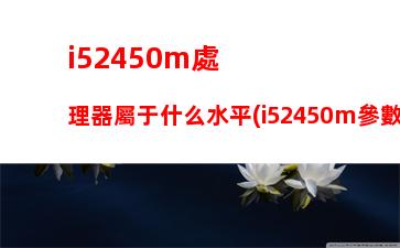 i52450m處理器屬于什么水平(i52450m參數(shù))