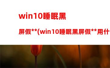 win10睡眠黑屏假死(win10睡眠黑屏假死用什么鍵)