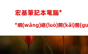 宏基筆記本電腦無(wú)線網(wǎng)絡(luò)開(kāi)關(guān)(宏基筆記本電腦無(wú)線網(wǎng)絡(luò)開(kāi)關(guān)在哪里打開(kāi))