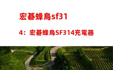 宏碁蜂鳥sf314：宏碁蜂鳥SF314充電器