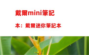 戴爾mini筆記本：戴爾迷你筆記本