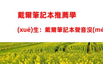 戴爾筆記本推薦學(xué)生：戴爾筆記本聲音沒(méi)有了怎么辦