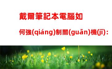 戴爾筆記本電腦如何強(qiáng)制關(guān)機(jī)：戴爾筆記本電腦怎么強(qiáng)制重啟