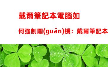 戴爾筆記本電腦如何強制關(guān)機：戴爾筆記本電腦怎么強制重啟