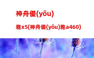 神舟優(yōu)雅x5(神舟優(yōu)雅a460)