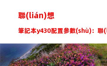 聯(lián)想筆記本y430配置參數(shù)：聯(lián)想筆記本y480配置