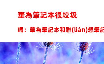 華為筆記本很垃圾嗎：華為筆記本和聯(lián)想筆記本哪個(gè)好