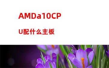 amd顯卡鎖頻軟件(amd顯卡性能排行)