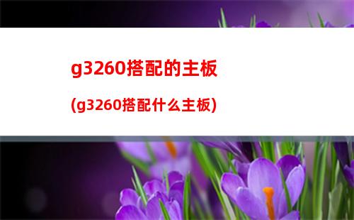 戴爾筆記本拆機(jī)(戴爾筆記本拆裝教程)